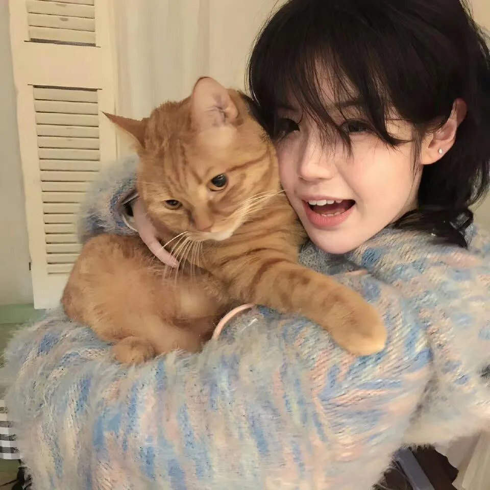 杨颖儿 照片