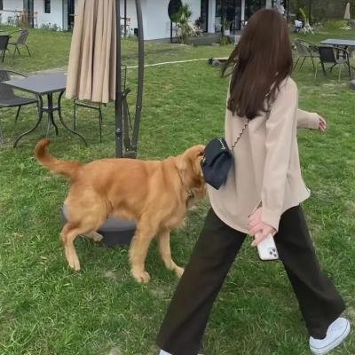 吴景腾 照片